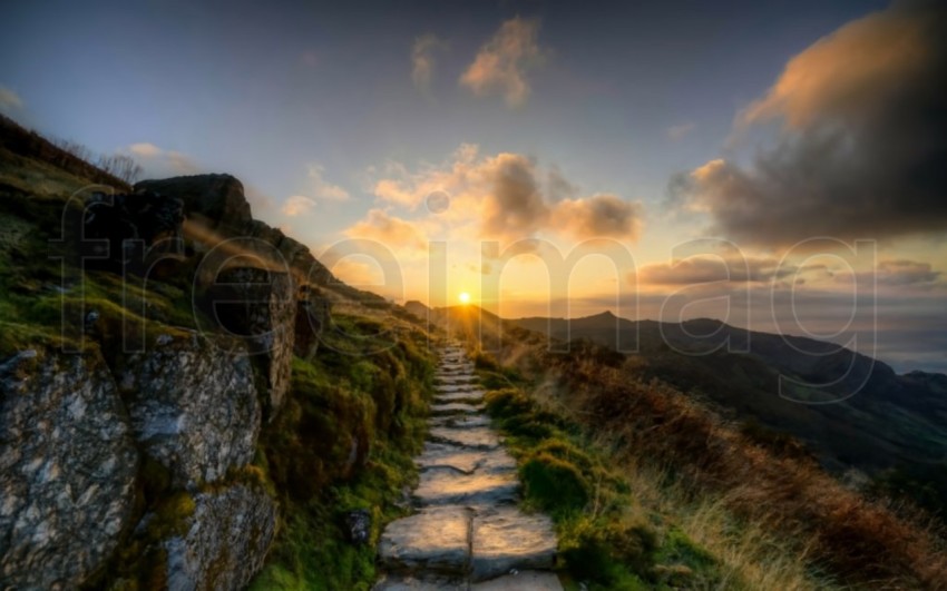 Escalera al cielo un camino celestial develado