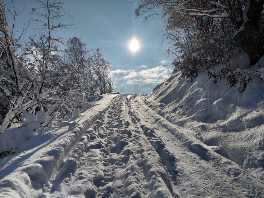 Paisaje de invierno Rumania