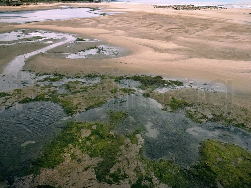 Marisma en Isla cristina, España