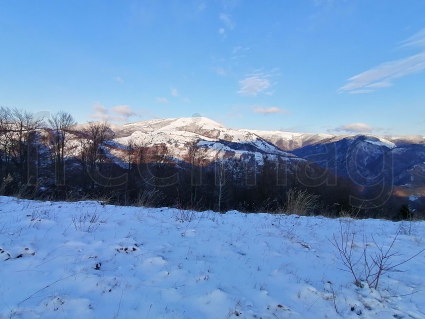 Cárpatos cubiertos de nieve