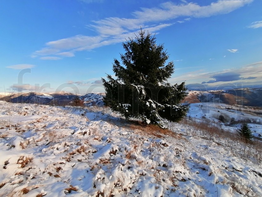 Paisaje de invierno Rumanía