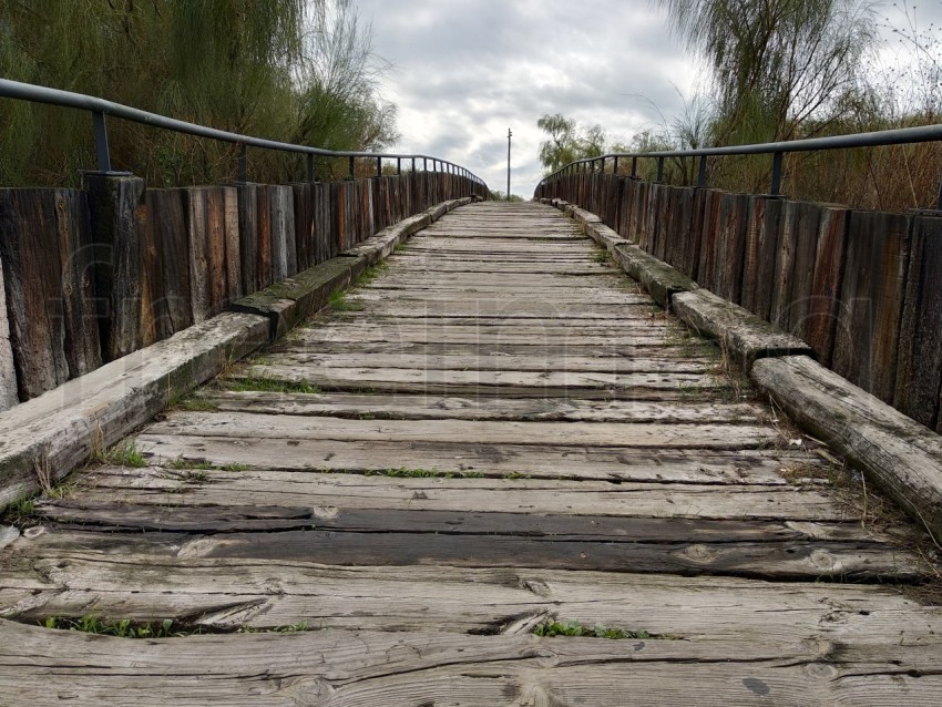 Camino de madera en la playa