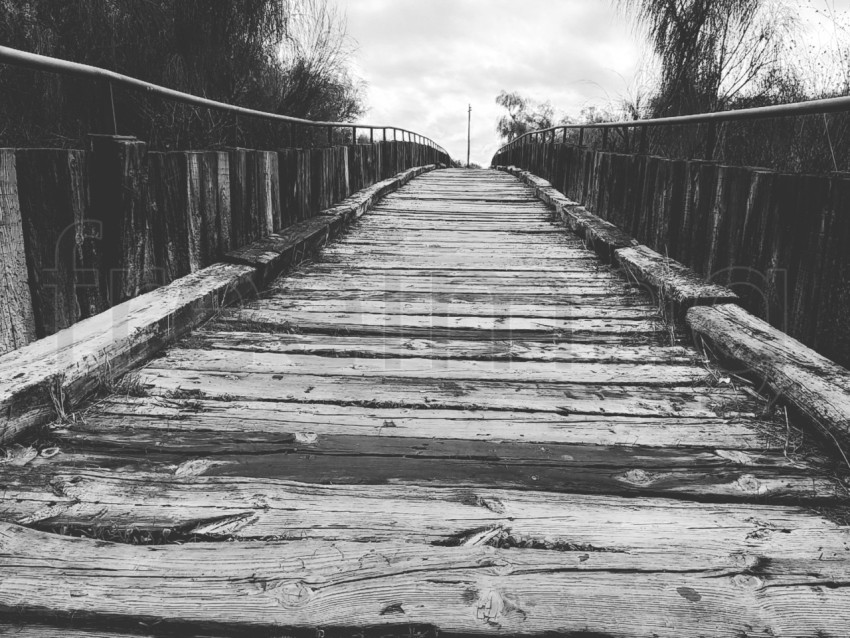 Camino de madera imagen en blanco negro