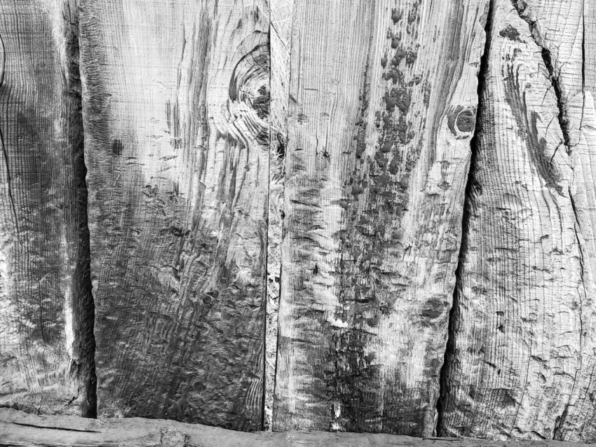 Tablas de madera con nudos, en blanco y negro