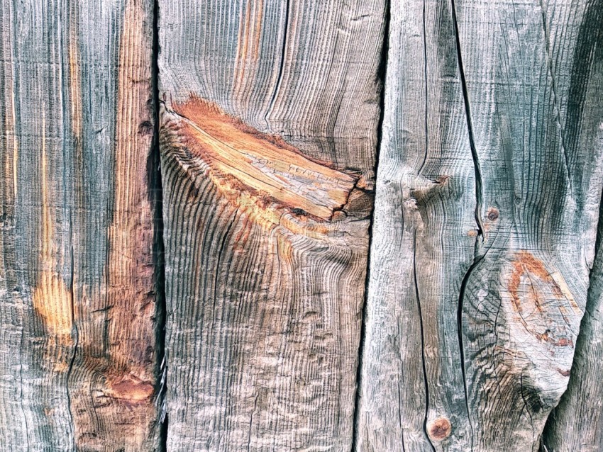 Tablas de madera con nudos