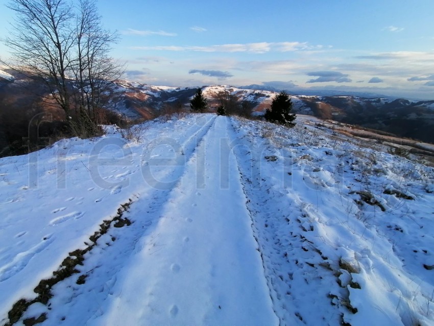 Camino cubierto de nieve