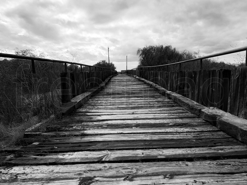 Camino de madera en la playa, blanco negro