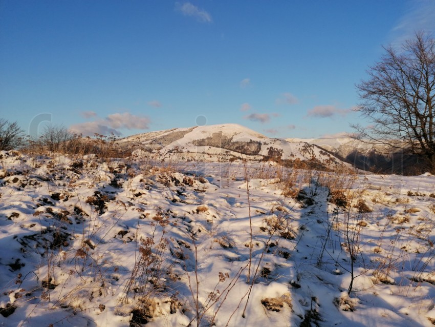 Invierno en Rumanía los Cárpatos