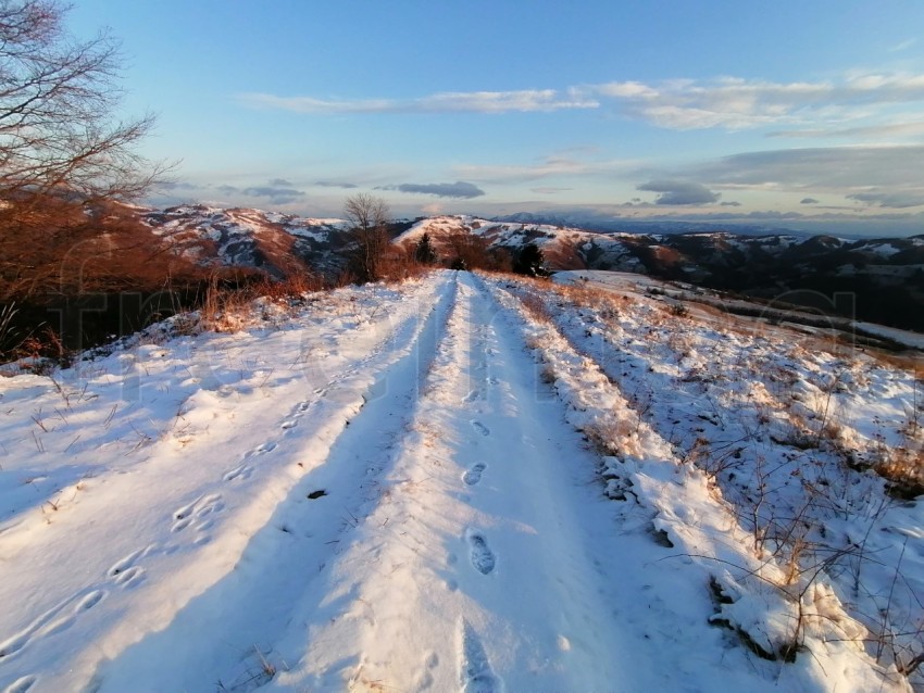 Sendero cubierto de nieve en la montaña