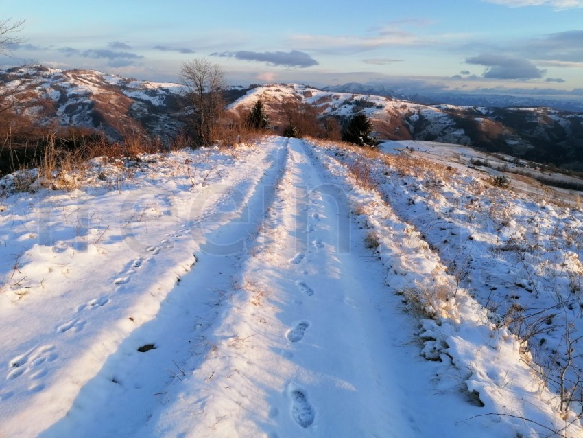 Camino cubierto de nieve en la montaña