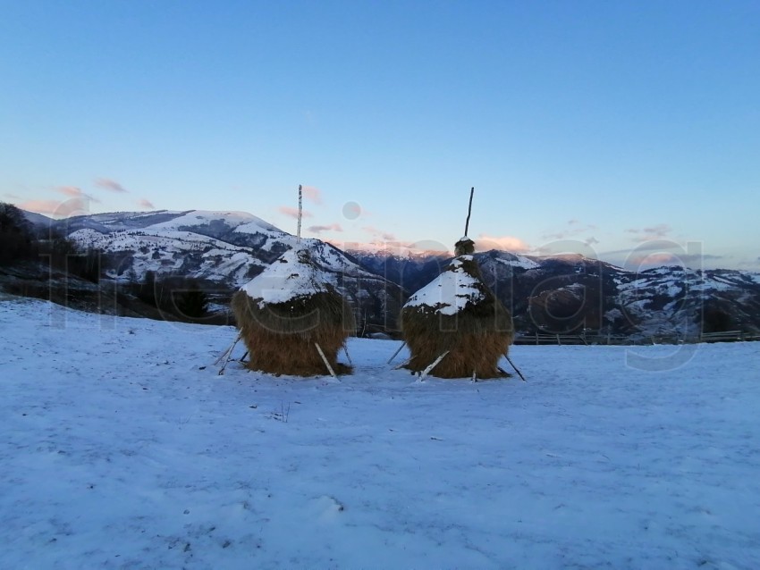 Imagen de paja seca paisaje de invierno