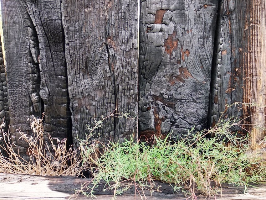 Foto de Tablas de madera quemadas