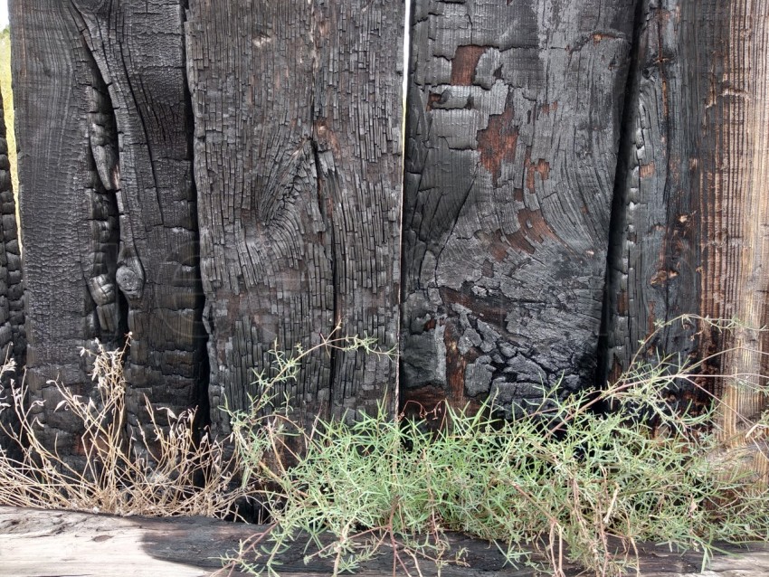 Imagen de textura de madera quemada