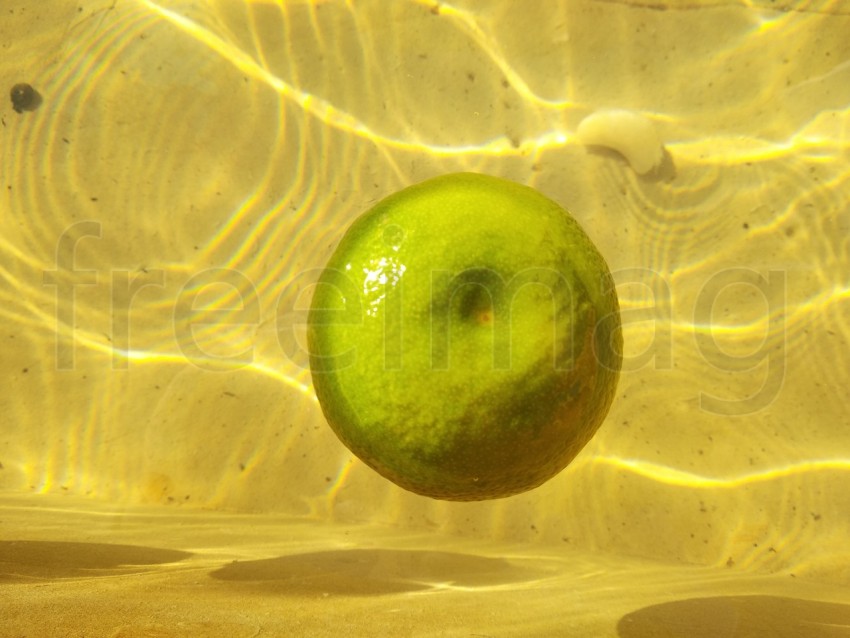 Foto naranja flotando en agua