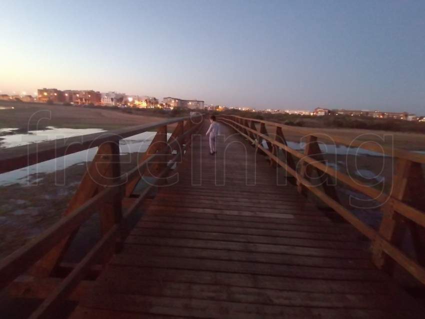 Puente de madera en la playa