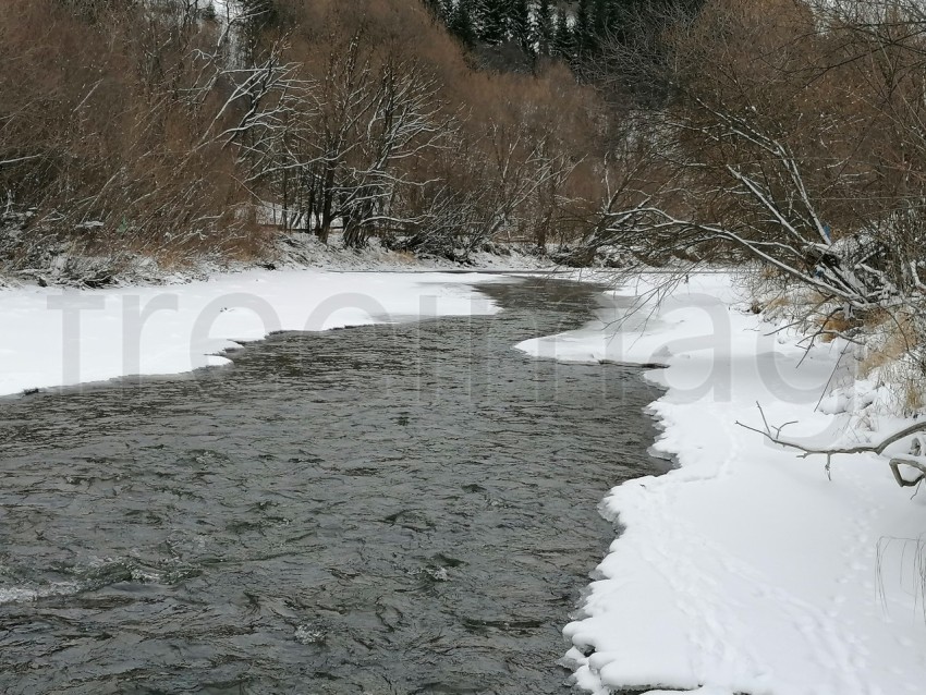 Río en el bosque temporada de invierno