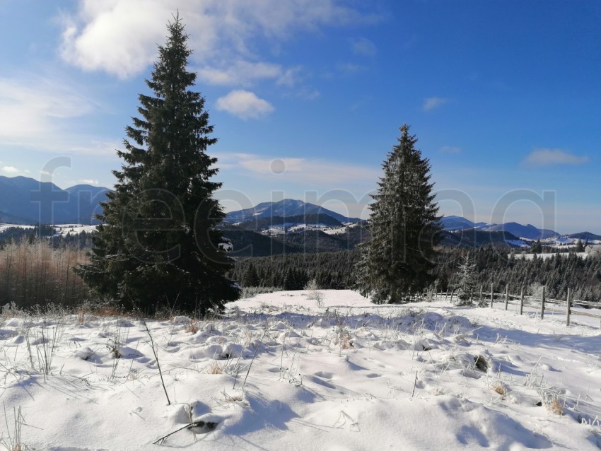 Paisaje de invierno en los Cárpato de Rumanía