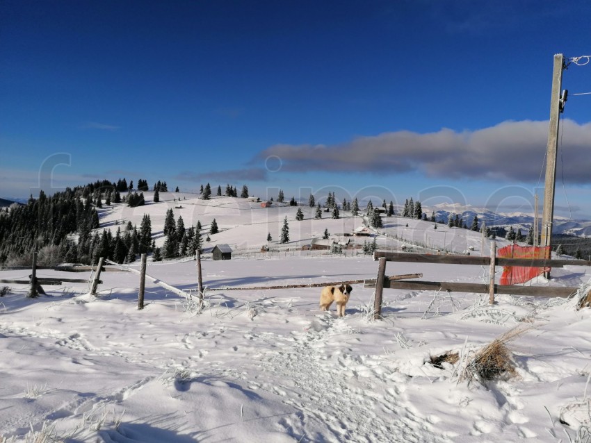 Paisaje de invierno en los Cárpatos de Rumanía