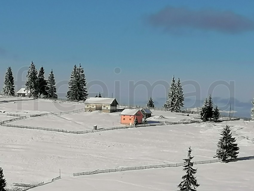 Hermoso paisaje de invierno