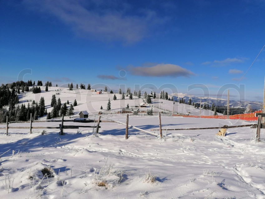 Paisaje de invierno en los Cárpatos de Rumanía