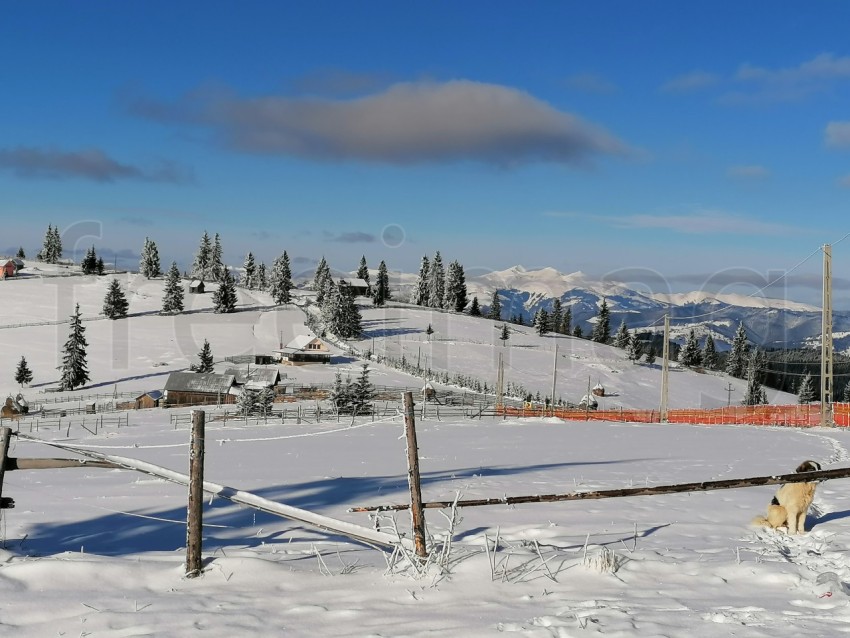 Paisaje de invierno en los Cárpatos de Rumanía