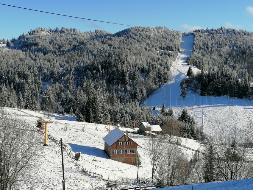 Paisaje de invierno, pinos cubierto de nieve