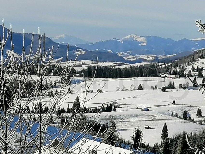 Paisaje de invierno en los Cárpatos