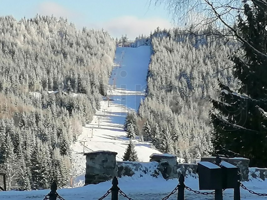 Paisaje de invierno en los Cárpatos de Rumanía