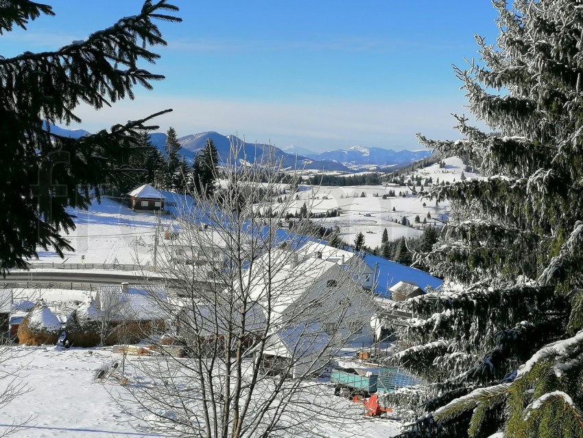 Paisaje de invierno en los Cárpatos de Rumanía