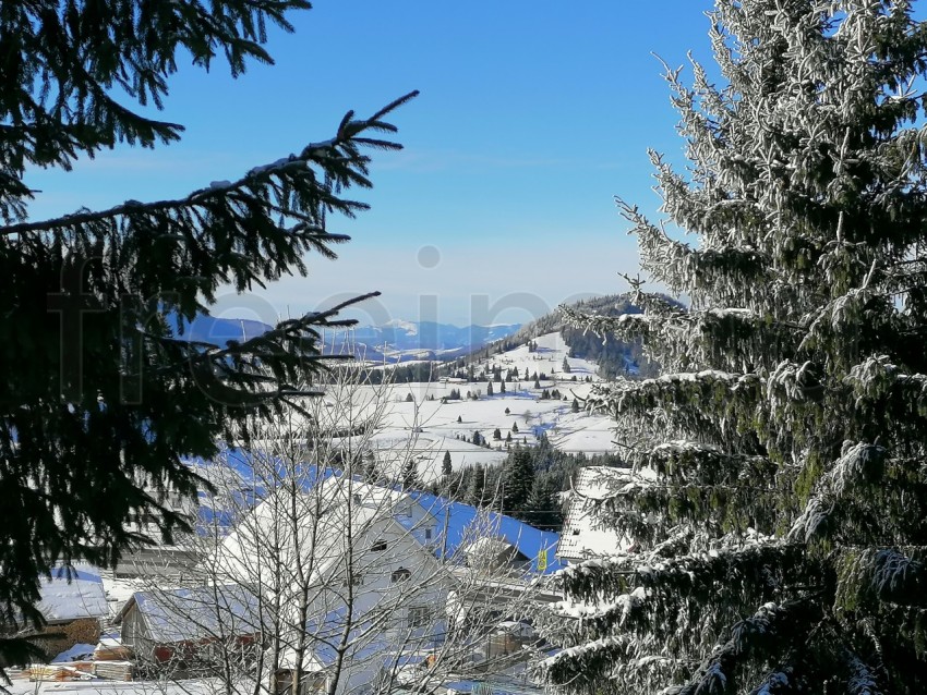 Paisaje de invierno en los Cárpatos