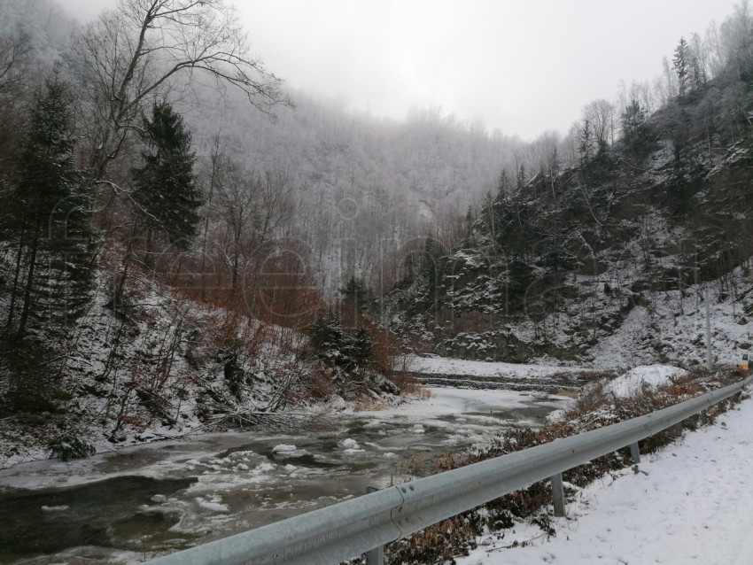 Imagen en el bosque de Transilvania temporada de invierno