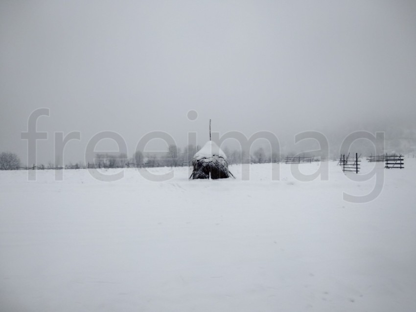 Pajares cubiertos de nieve. Escena rural de invierno en las montañas.