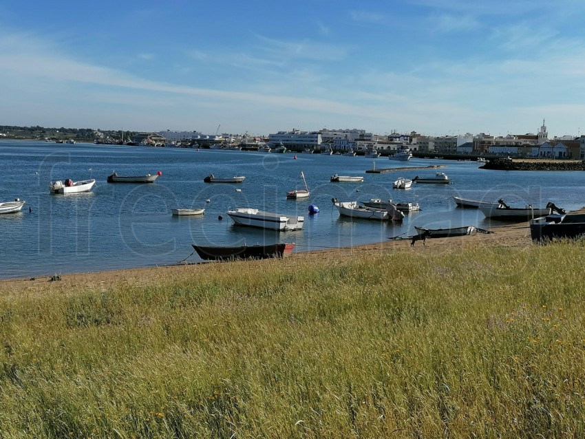 Barcos en la orilla del mar