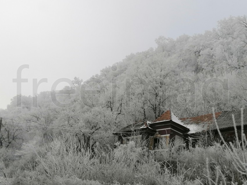 Árboles cubiertos de nieve en un invierno helado. Temporada de invierno