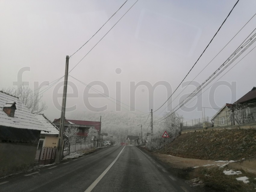 Carretera solitaria en un bosque nevado en Transilvania, Rumanía