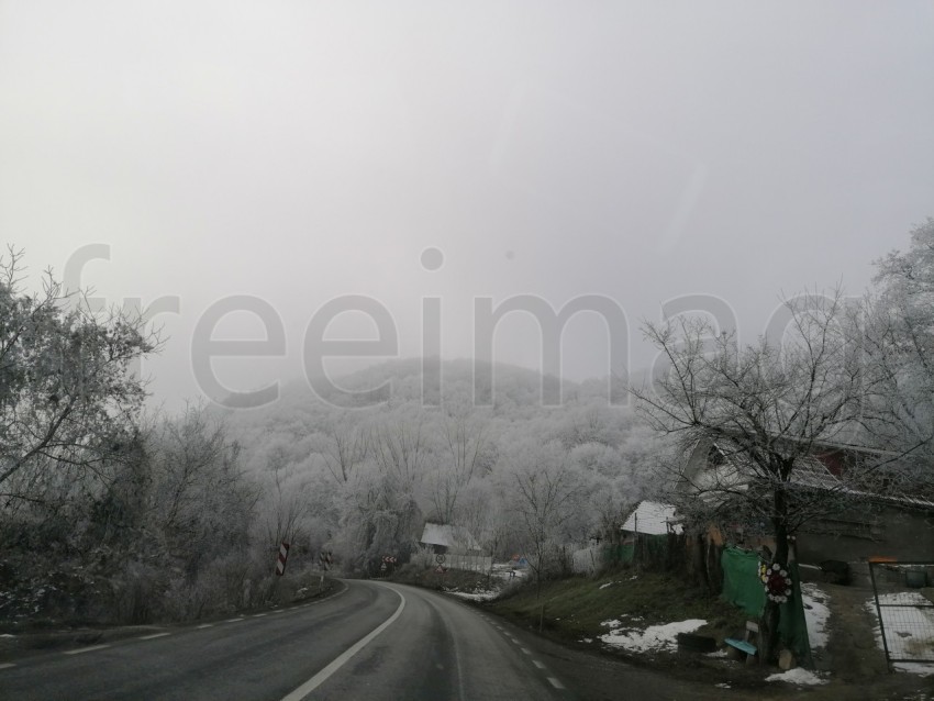 Carretera solitaria en un bosque nevado en Transilvania, Rumanía