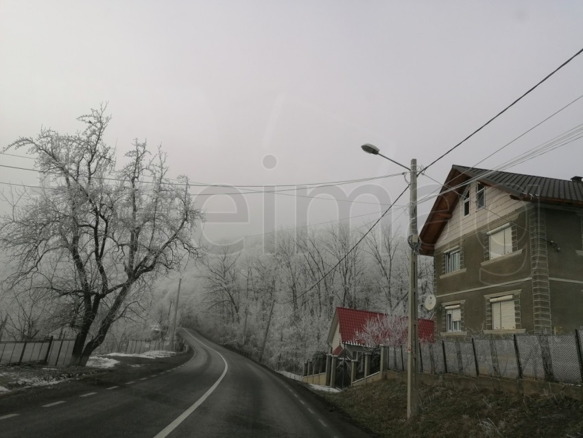 Carretera solitaria en un bosque nevado en Transilvania, Rumanía