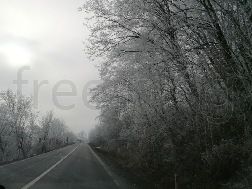 Carretera solitaria en un bosque nevado en Transilvania, Rumanía