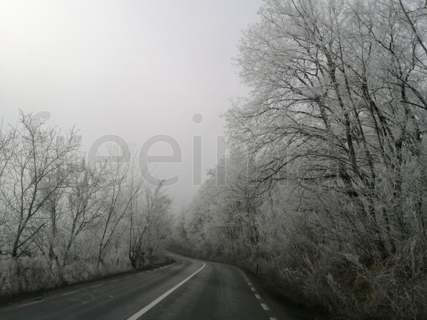 Carretera solitaria en un bosque nevado en Transilvania, Rumanía