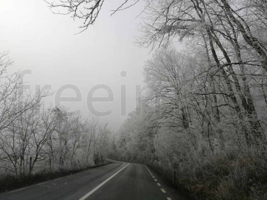 Carretera solitaria en un bosque nevado en Transilvania, Rumanía