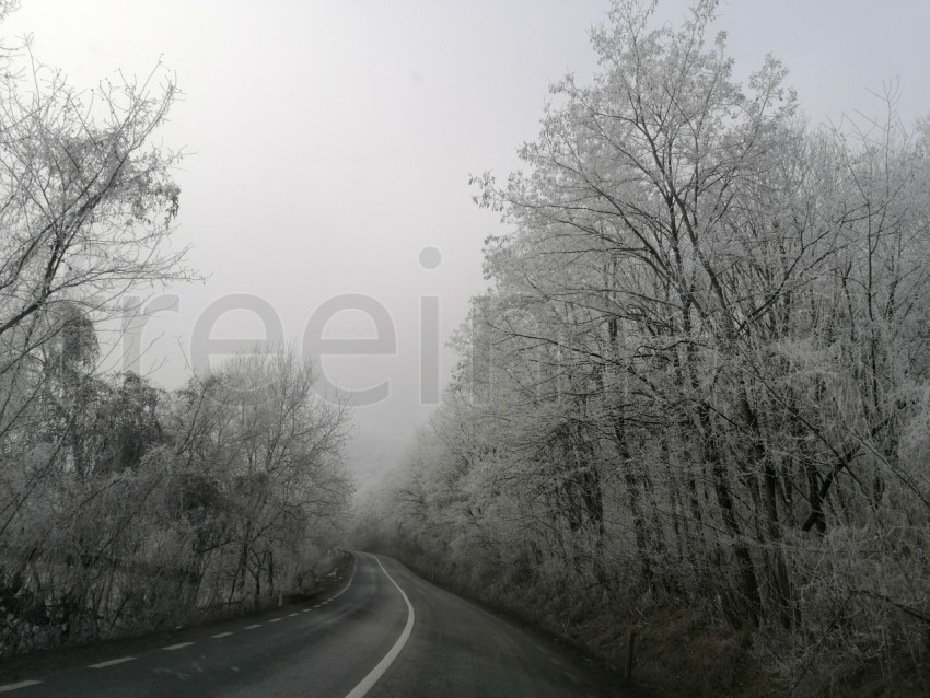 Carretera solitaria en un bosque nevado en Transilvania, Rumanía