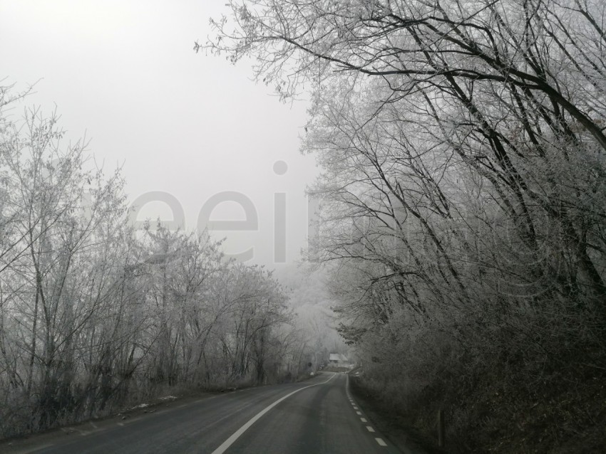 Carretera solitaria en un bosque nevado en Transilvania, Rumanía