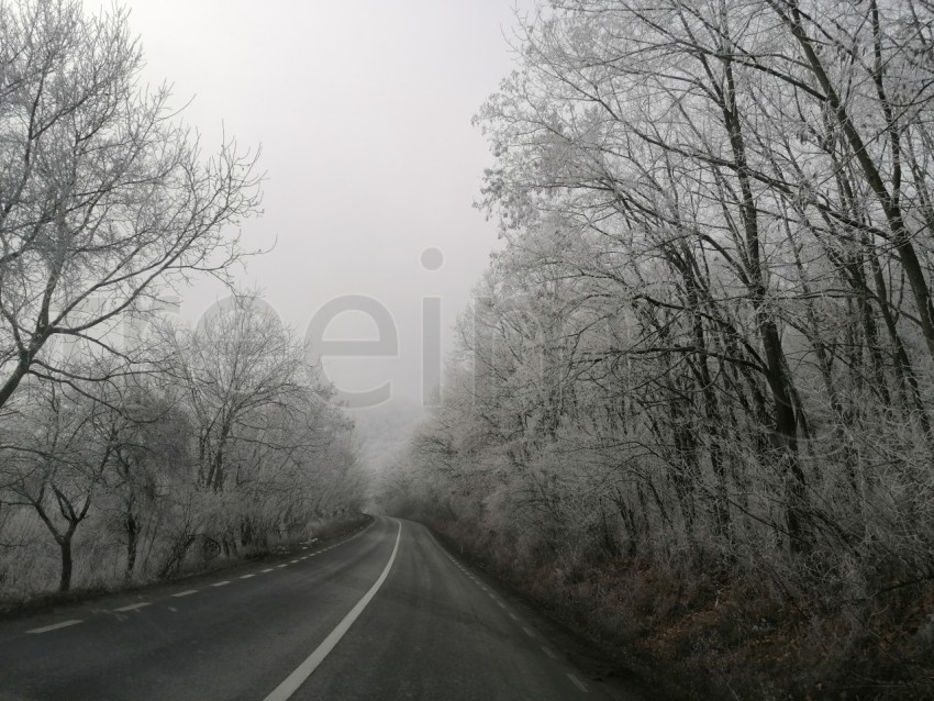 Carretera solitaria en un bosque nevado en Transilvania, Rumanía