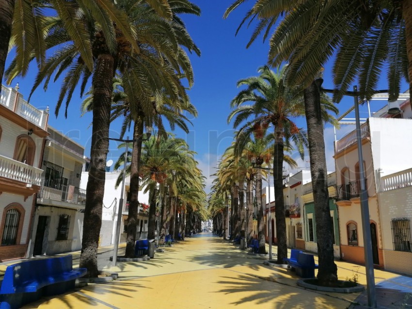 Paisaje costero de Isla Cristina con palmeras. Paseó de la palmeras