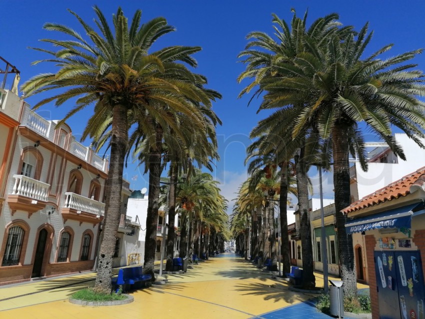 Paisaje costero de Isla Cristina con palmeras. Paseó de la palmeras