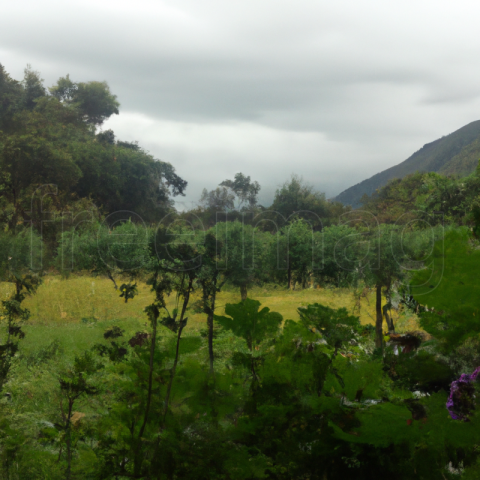 Paisaje naturaleza verde árboles y hierba