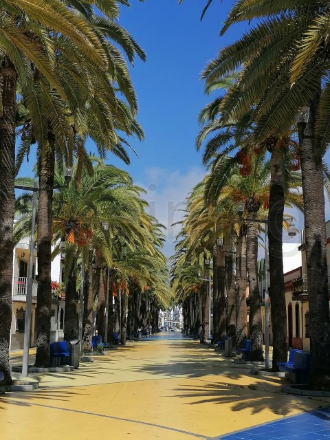 Paisaje costero de Isla Cristina con palmeras. Paseó de la palmeras