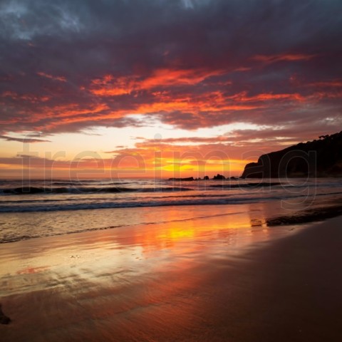 Atardecer la orilla del mar, fotografía de vida silvestre