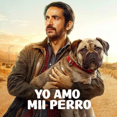 Yo amo mi perro poster