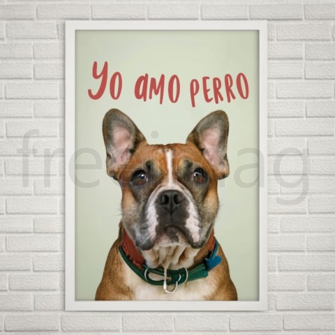 Yo amo mi perro poster